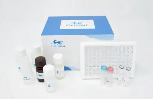 [0893-ACC-103] EHA105 Chemically Competent Cells - 10 tubes (100μL/tube)